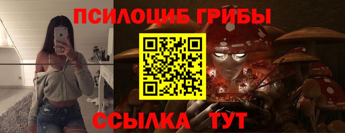 Галлюциногенные грибы Psilocybe  Псилоцибиновые грибы Psilocybine cubensis  Вход с VPN  Сланцы 